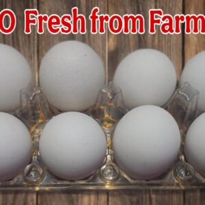 Fresh Farm Eggs