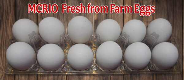 Fresh Farm Eggs