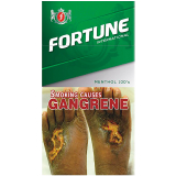 Fortune Int'l Menthol Flip Top 10/20's
