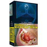 Marlboro Menthol Ice Blast Flip 10/20's