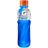 Gatorade Blue Bolt Pet Bottle 350ml